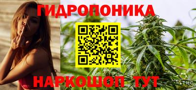 СК Тулун