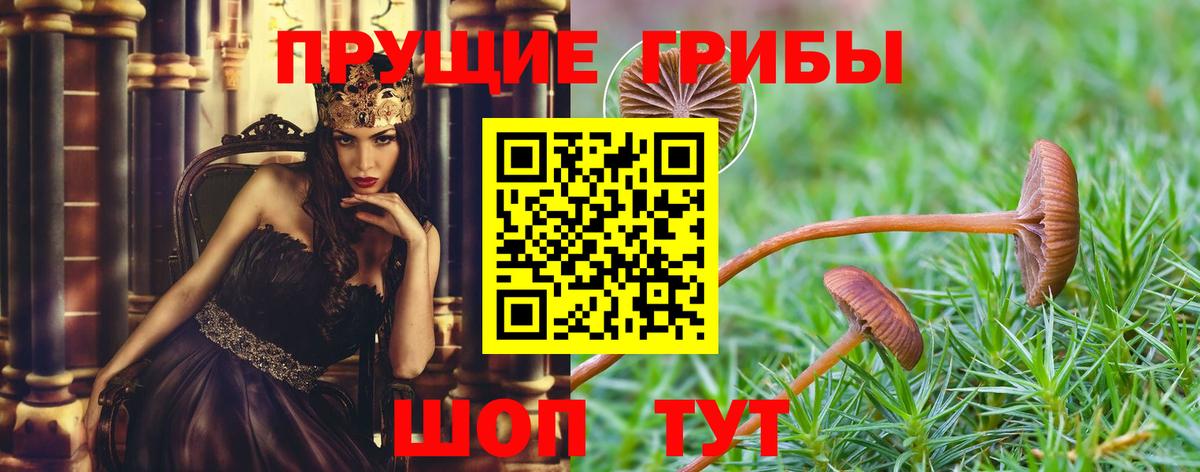 Наро-Фоминск  Псилоцибиновые грибы мицелий  Вход с VPN 